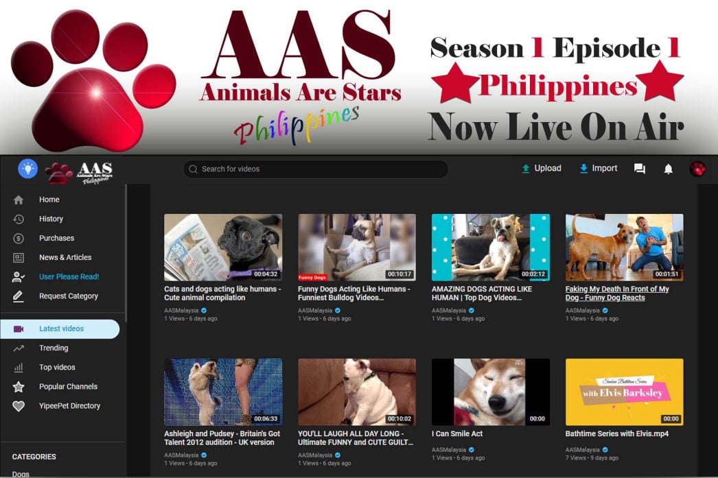 Animals Are Stars Philippines