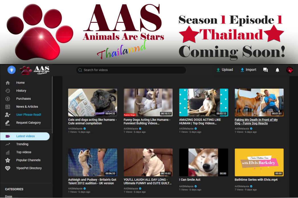 Animals Are Stars Thailand